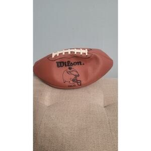 Vintage Wilson Philadelphia Eagles NFL Team Logo Display/ Dummy Football NOS